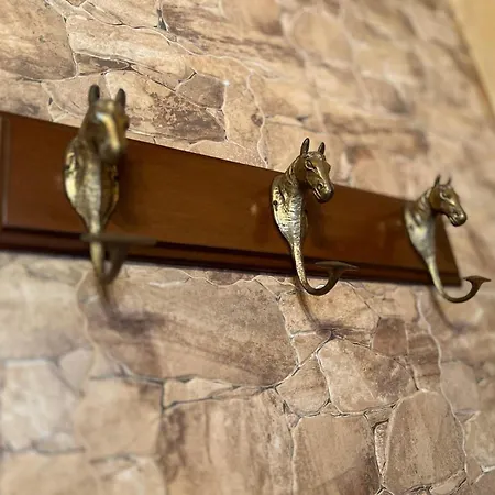 Проживание в семье La De Zepeda *